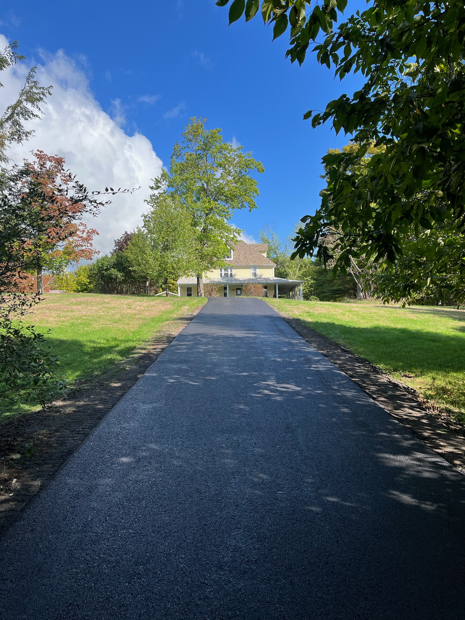 The approach — private driveway through the estate grounds