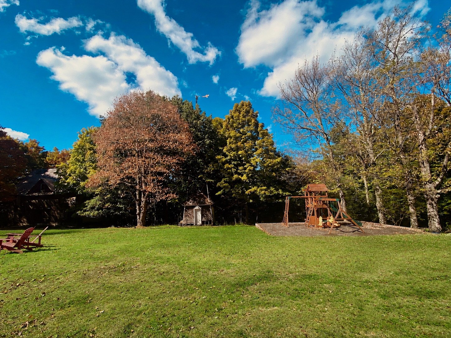 The play area set against the tree line on a sunny afternoon