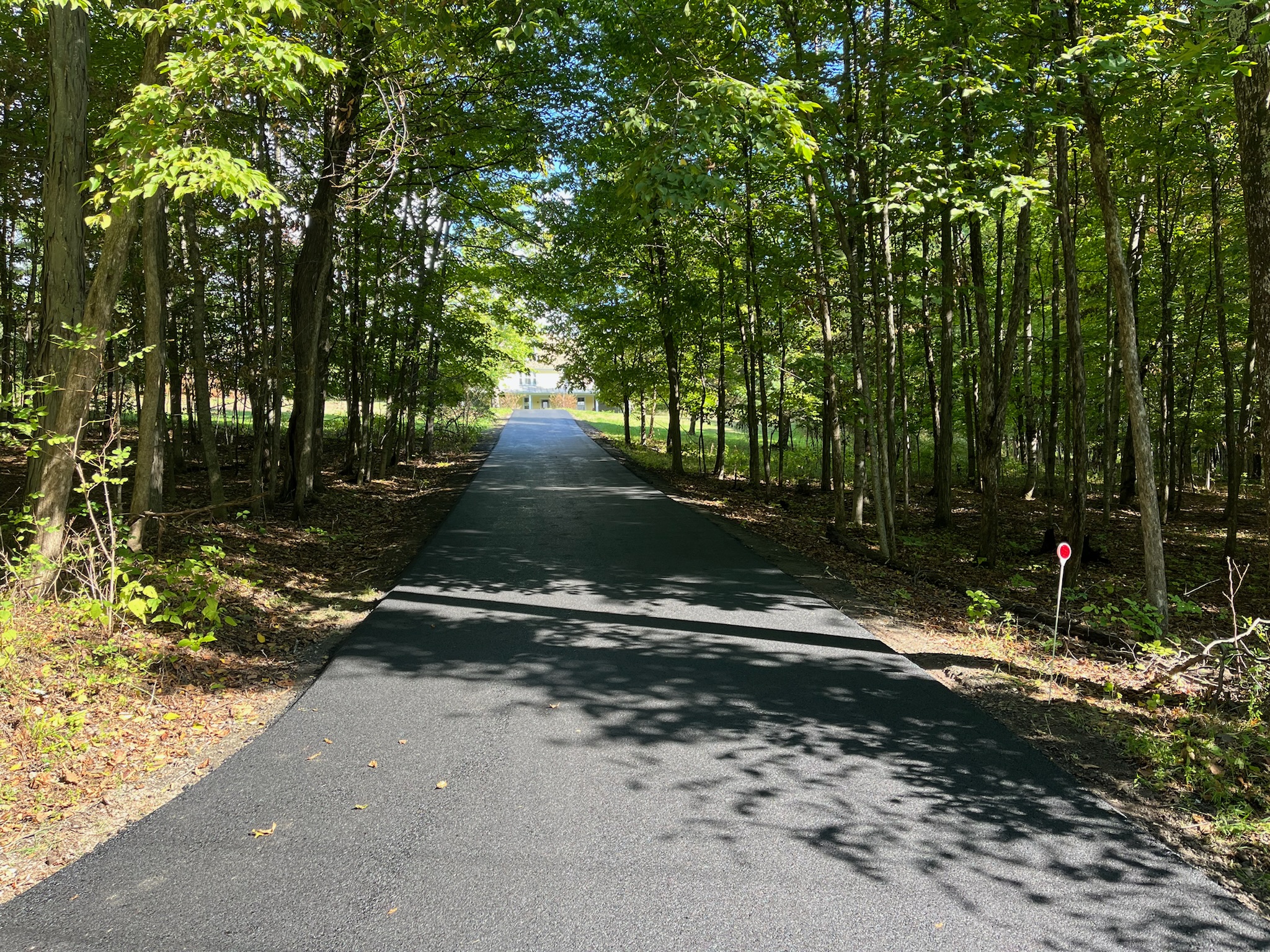 A quiet wooded path through the property, dappled with sunlight
