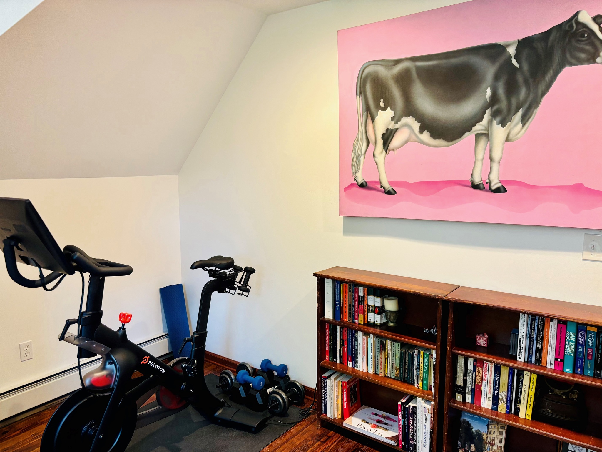 Home office — Herman Miller, dual monitors, Peloton, forest views