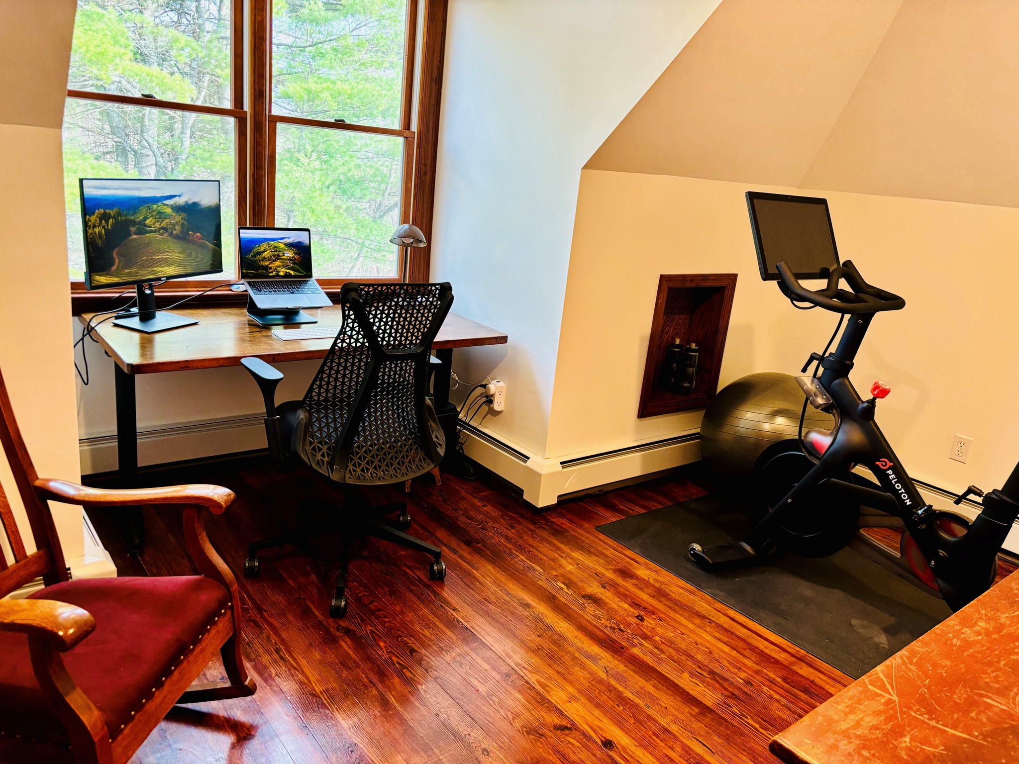 Fitness area with Peloton bike, hand weights, yoga mat, large bookshelf, and oversized Holstein cow painting on pink background